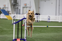 RookieICEAgility202605