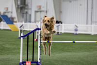 RookieICEAgility202606