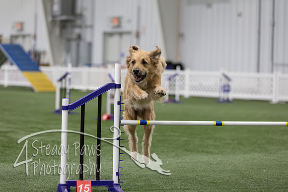 RookieICEAgility202606