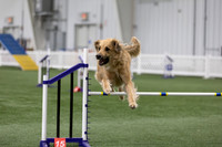 RookieICEAgility202608