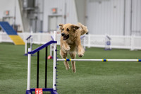 RookieICEAgility202607