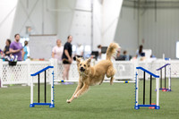 RookieICEAgility202610