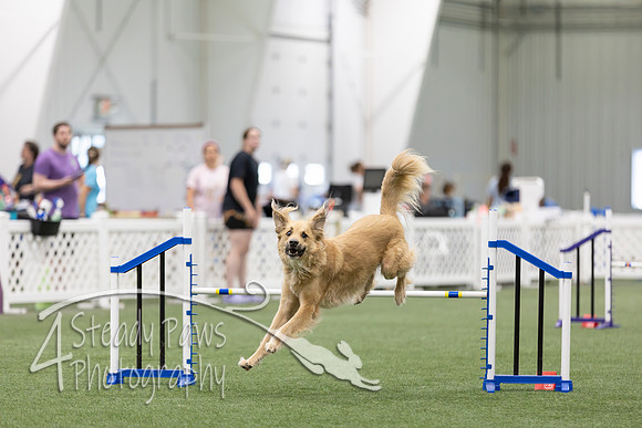 RookieICEAgility202610