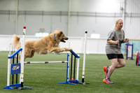 RookieICEAgility202612