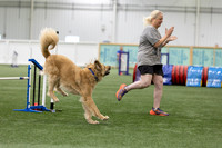 RookieICEAgility202614