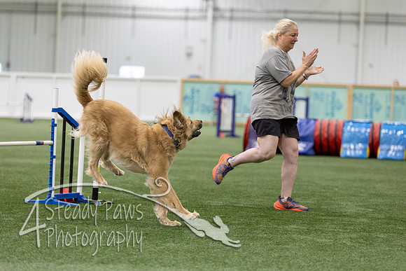RookieICEAgility202614