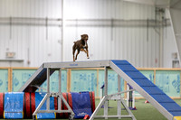 RookieICEAgility202615