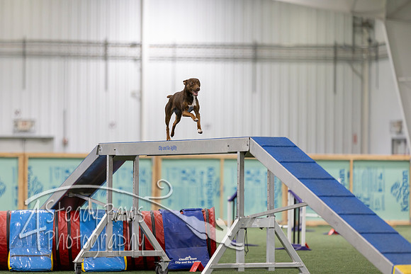 RookieICEAgility202615