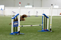 RookieICEAgility202618