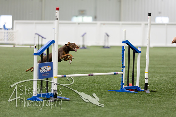 RookieICEAgility202618