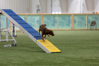 RookieICEAgility202616