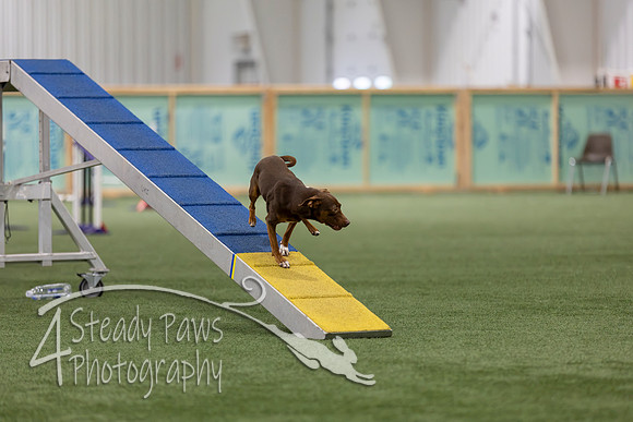 RookieICEAgility202616