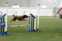 RookieICEAgility202619