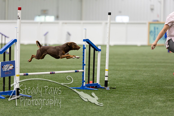 RookieICEAgility202619