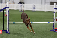 RookieICEAgility202617