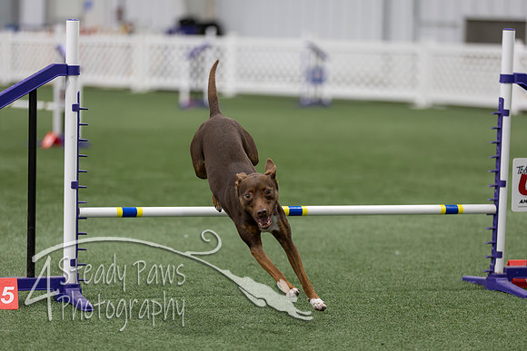 RookieICEAgility202617
