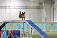 RookieICEAgility202620