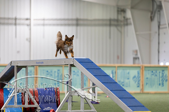 RookieICEAgility202620