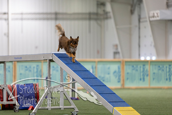 RookieICEAgility202621