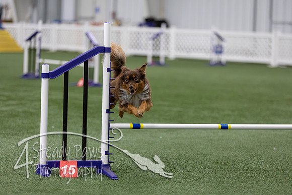 RookieICEAgility202624