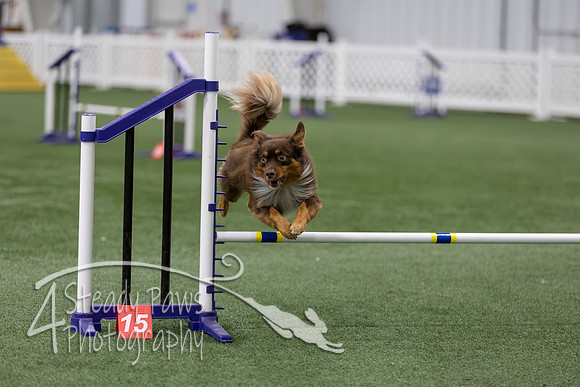 RookieICEAgility202625