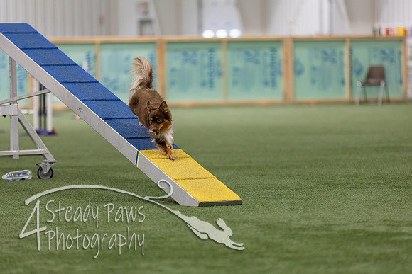 RookieICEAgility202622