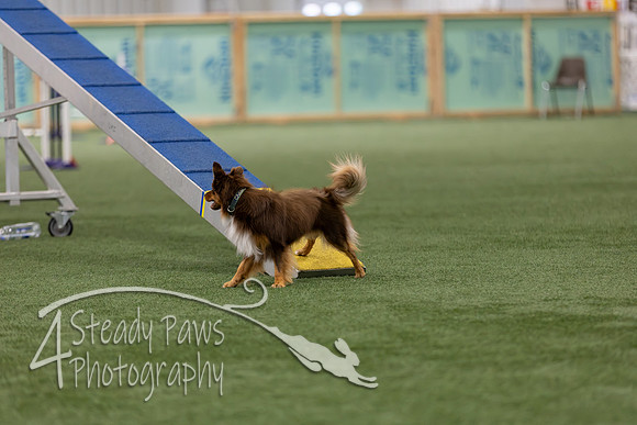 RookieICEAgility202623