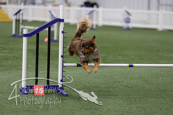 RookieICEAgility202626