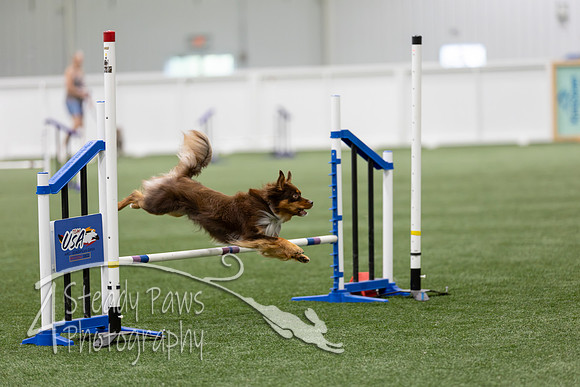 RookieICEAgility202630