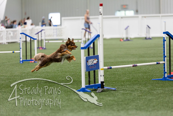 RookieICEAgility202627