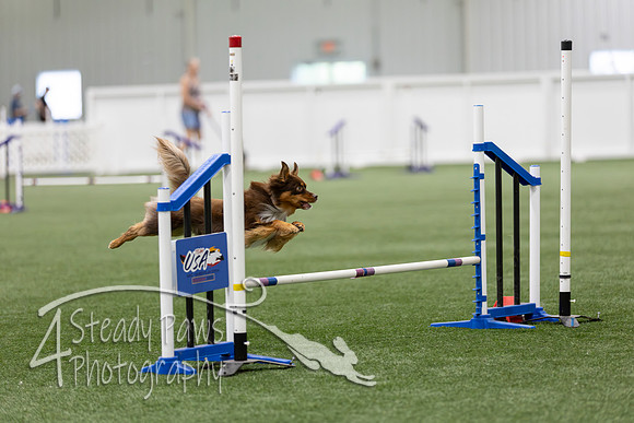 RookieICEAgility202628