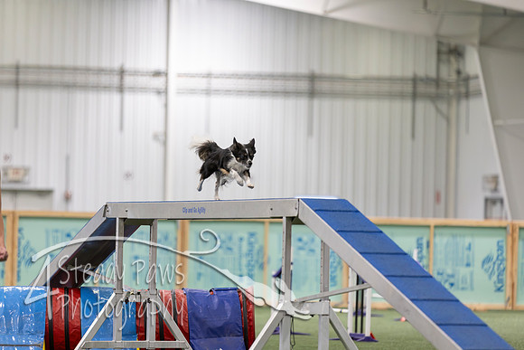 RookieICEAgility202631