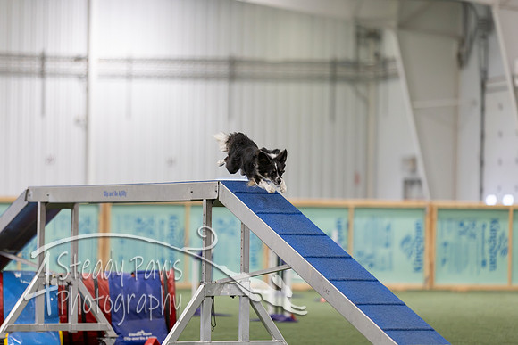 RookieICEAgility202632