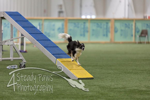 RookieICEAgility202633