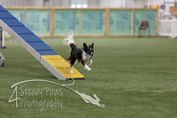 RookieICEAgility202634