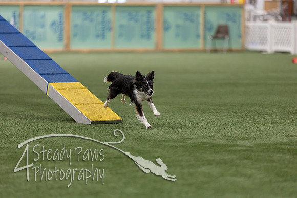 RookieICEAgility202635