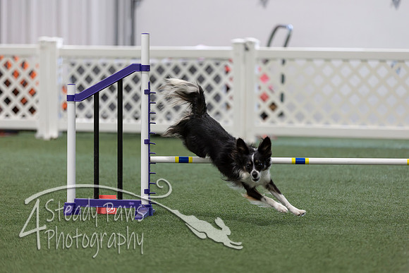 RookieICEAgility202636