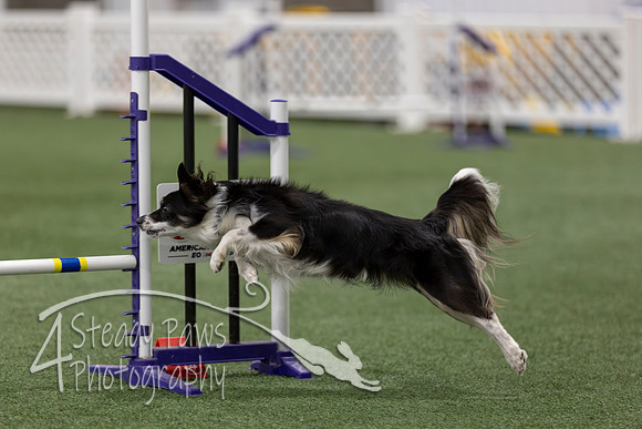 RookieICEAgility202637