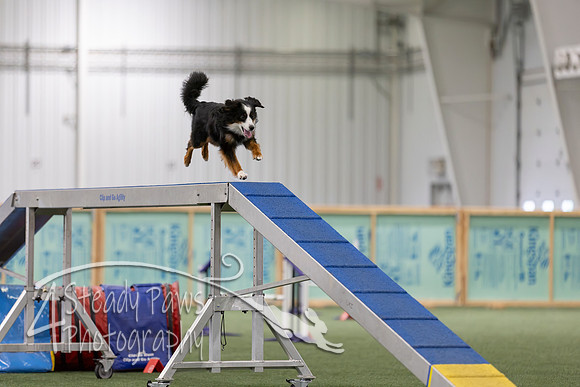 RookieICEAgility202640