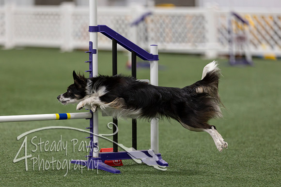 RookieICEAgility202638