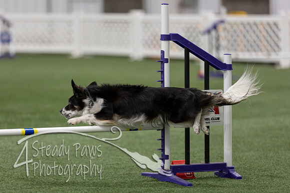 RookieICEAgility202639