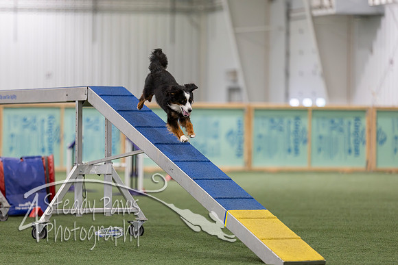 RookieICEAgility202641