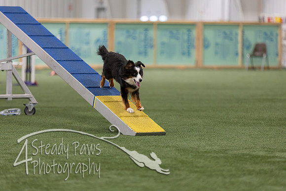 RookieICEAgility202642