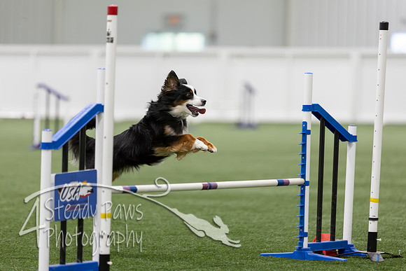 RookieICEAgility202645