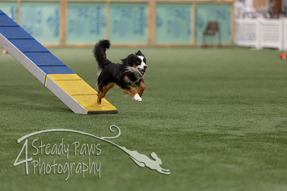 RookieICEAgility202643