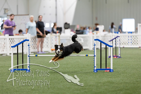 RookieICEAgility202644