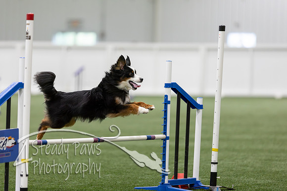 RookieICEAgility202646