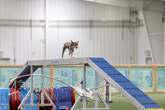 RookieICEAgility202647