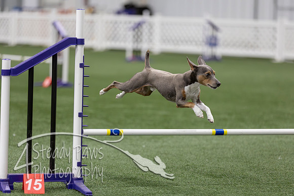 RookieICEAgility202649