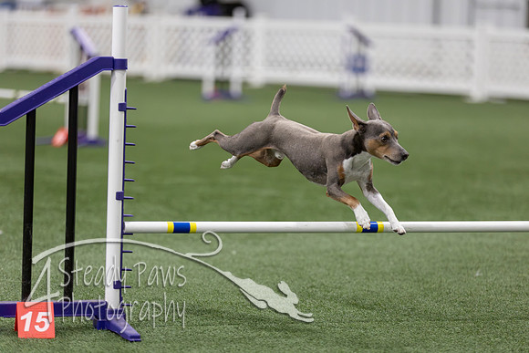 RookieICEAgility202650
